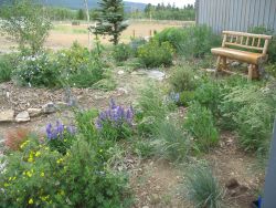 Gilpin County Extension High and Dry Demonstration Garden